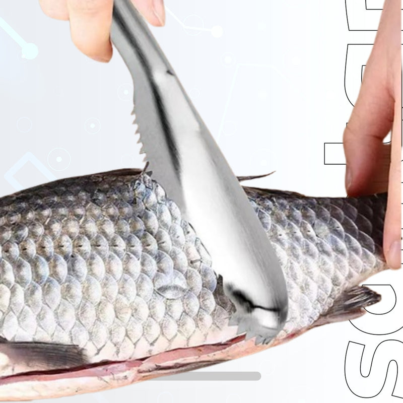 Stainless Steel Fish Skin Brush and Scaler - Seafood Cleaning Tool for Scraping Scales and Peeling