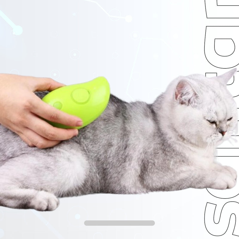 Cat Steam Brush Electric Spray Water Spray