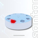 Cat Teaser Toy - Distract Cat