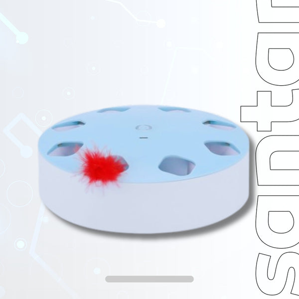 Cat Teaser Toy - Distract Cat