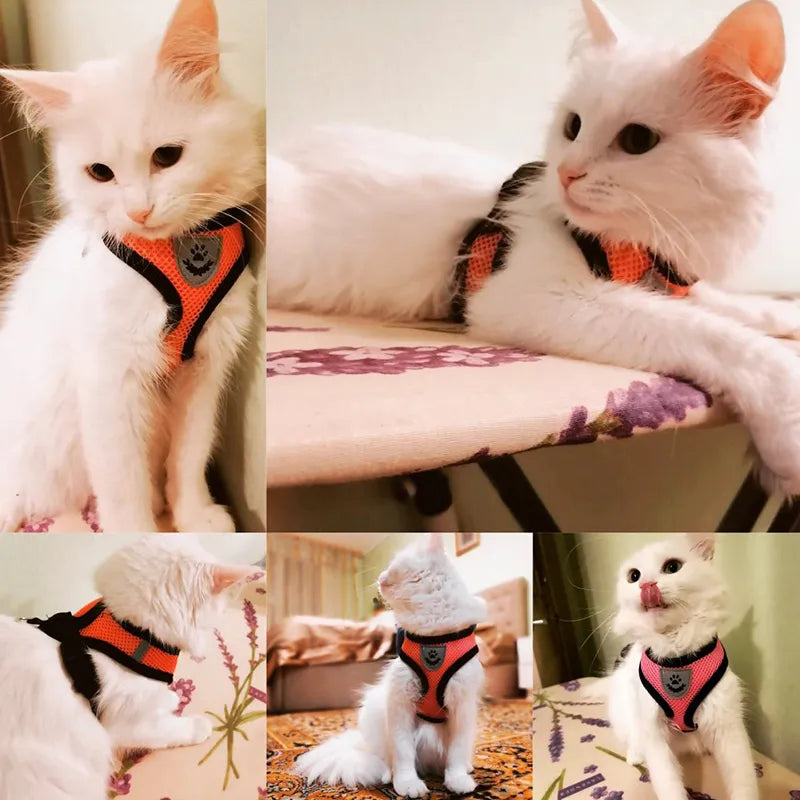 Cat Harness Vest Walking