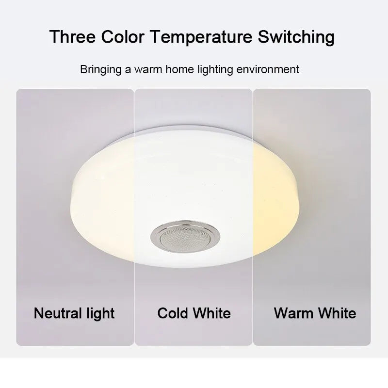 Modern Ceiling Lamps - RGB Dimming Home Lighting with APP and Bluetooth Music Control, 42W and 60W Smart Ceiling Lights with Remote, AC220V