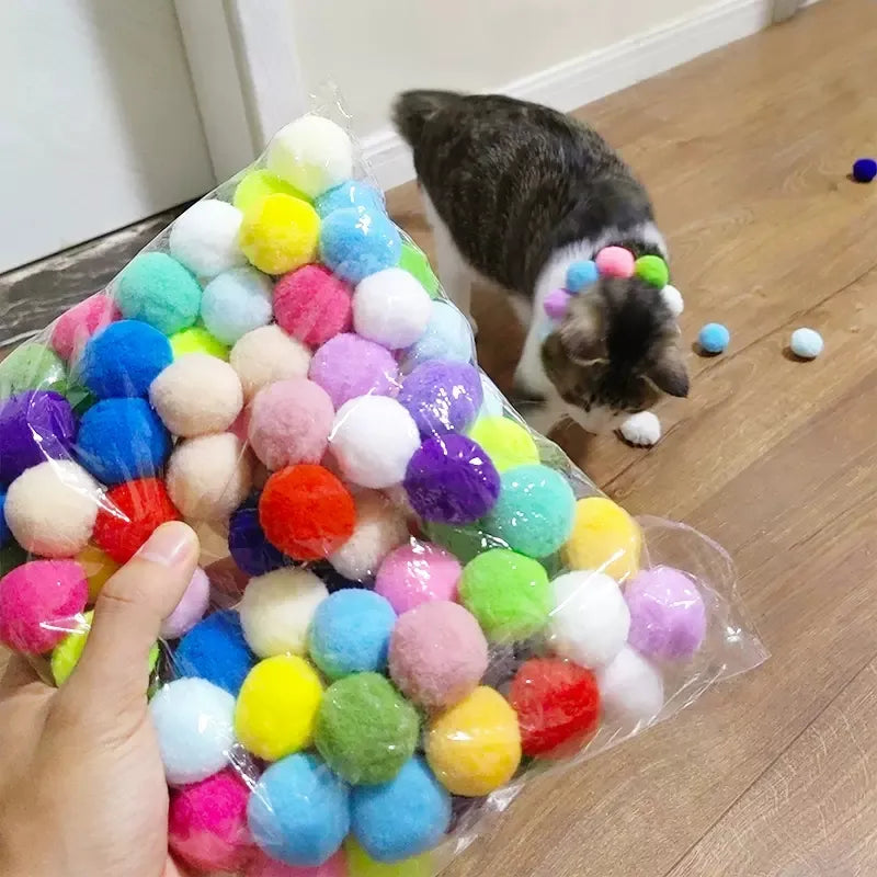 Cat Toys Interactive Launch Training