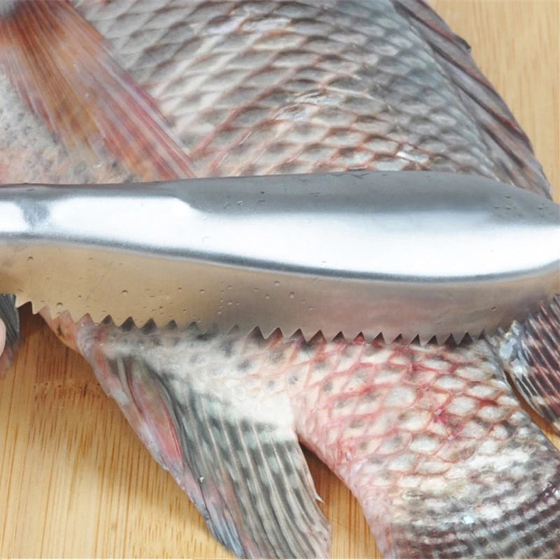 Stainless Steel Fish Skin Brush and Scaler - Seafood Cleaning Tool for Scraping Scales and Peeling