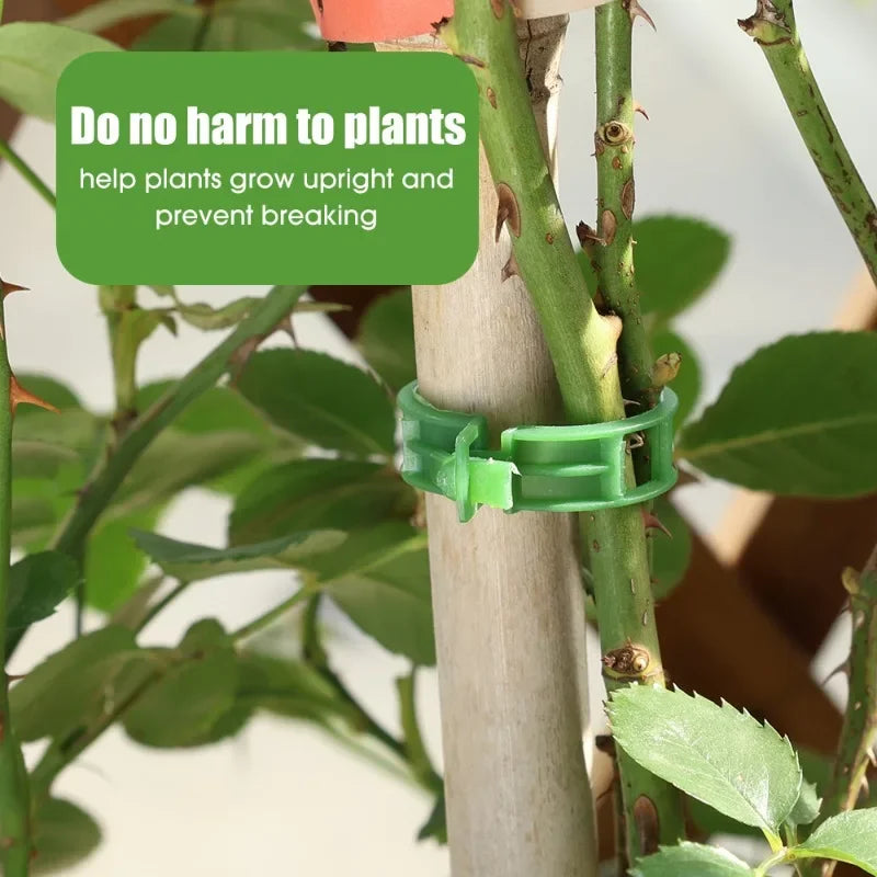 Reusable Plant Support Clips - Plastic Buckle Hooks for Tomato Vines, Grafting, and Plant Fixing