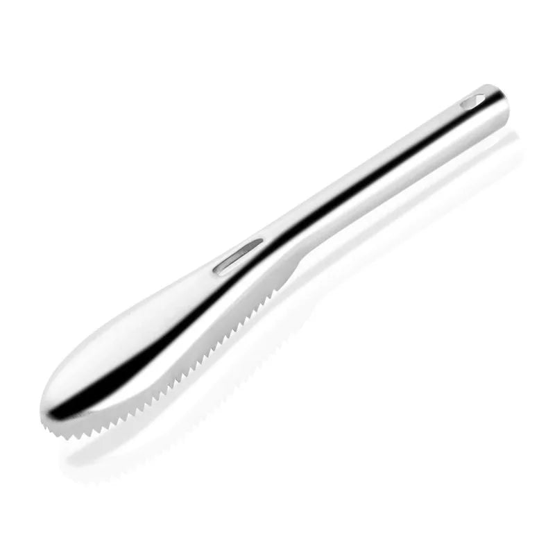 Stainless Steel Fish Skin Brush and Scaler - Seafood Cleaning Tool for Scraping Scales and Peeling