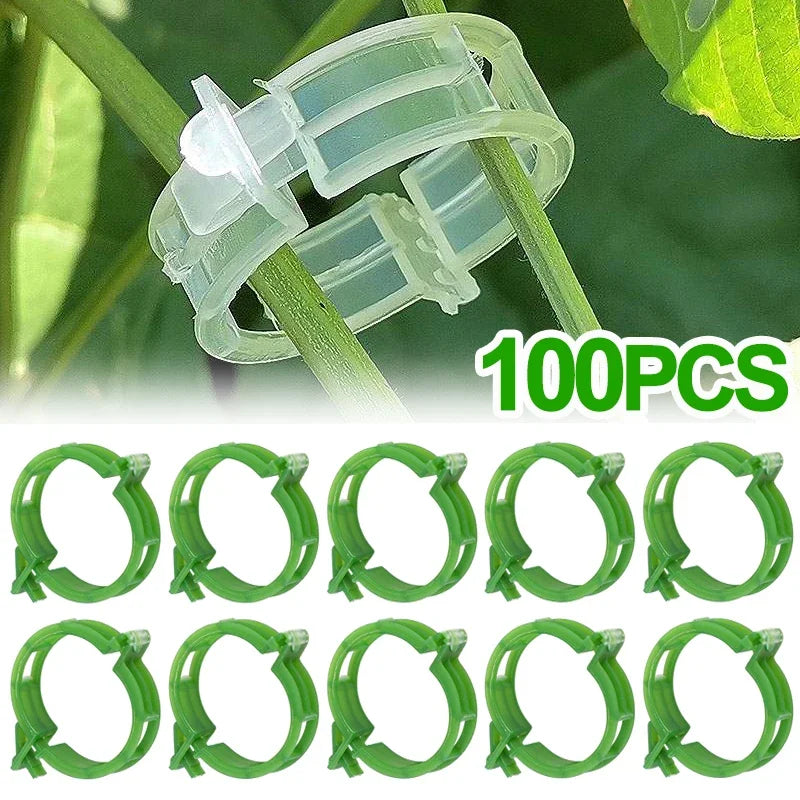 Reusable Plant Support Clips - Plastic Buckle Hooks for Tomato Vines, Grafting, and Plant Fixing