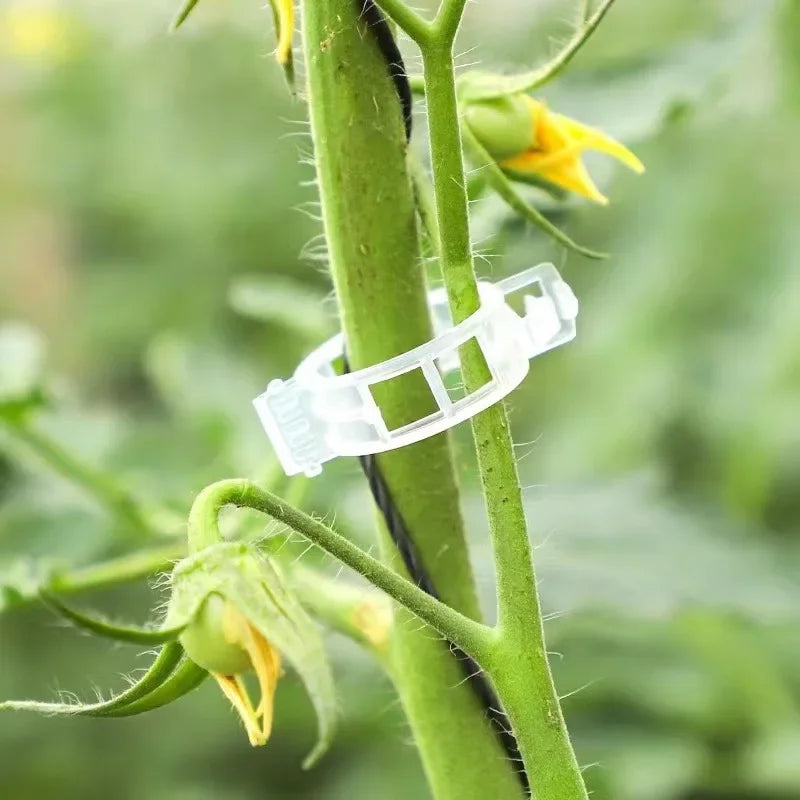 Reusable Plant Support Clips - Plastic Buckle Hooks for Tomato Vines, Grafting, and Plant Fixing