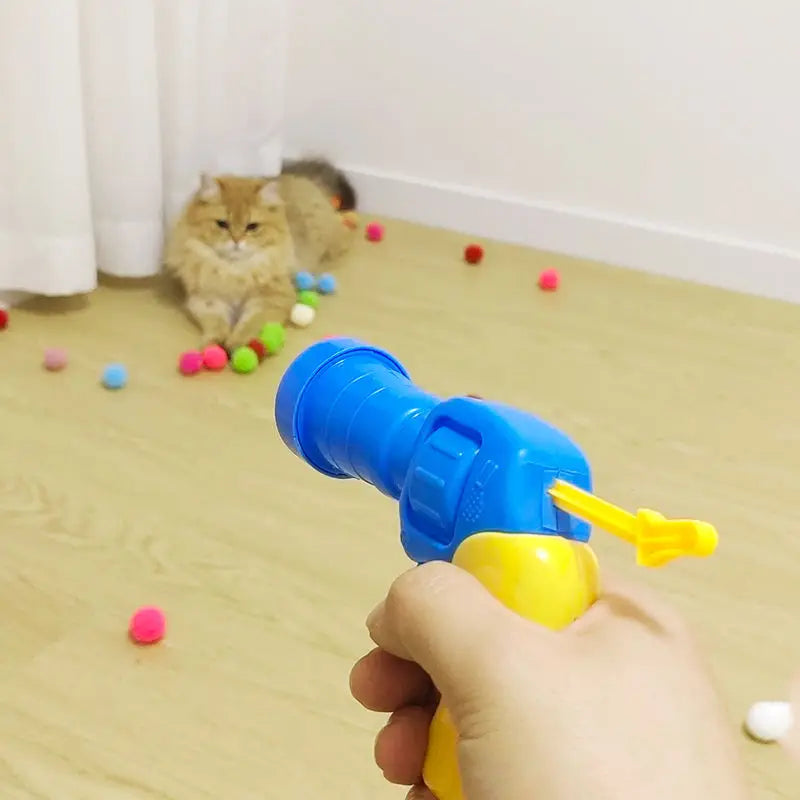 Cat Toys Interactive Launch Training