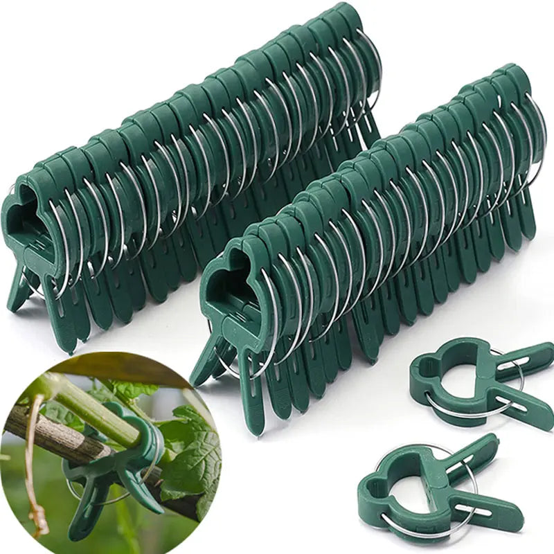 Reusable Plant Fixed Clips - Garden Greenhouse Brackets for Supporting Vines, Flowers, Seedlings, and Tomatoes