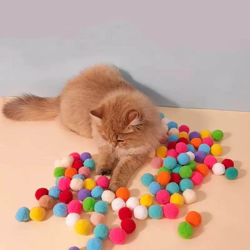 Cat Toys Interactive Launch Training