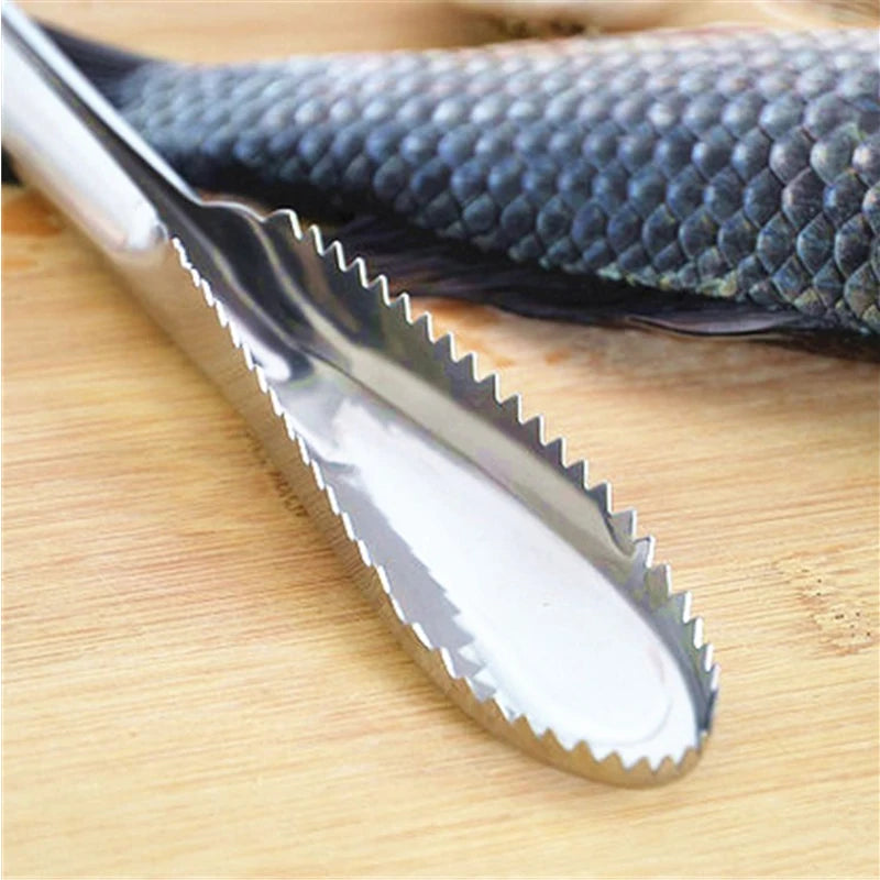 Stainless Steel Fish Skin Brush and Scaler - Seafood Cleaning Tool for Scraping Scales and Peeling