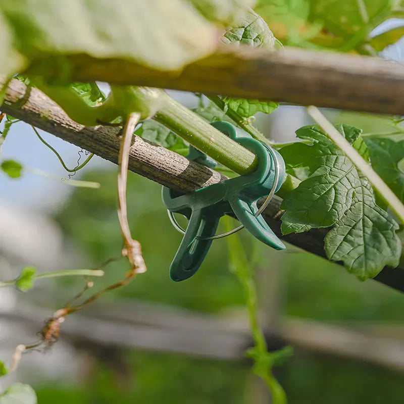 Reusable Plant Fixed Clips - Garden Greenhouse Brackets for Supporting Vines, Flowers, Seedlings, and Tomatoes