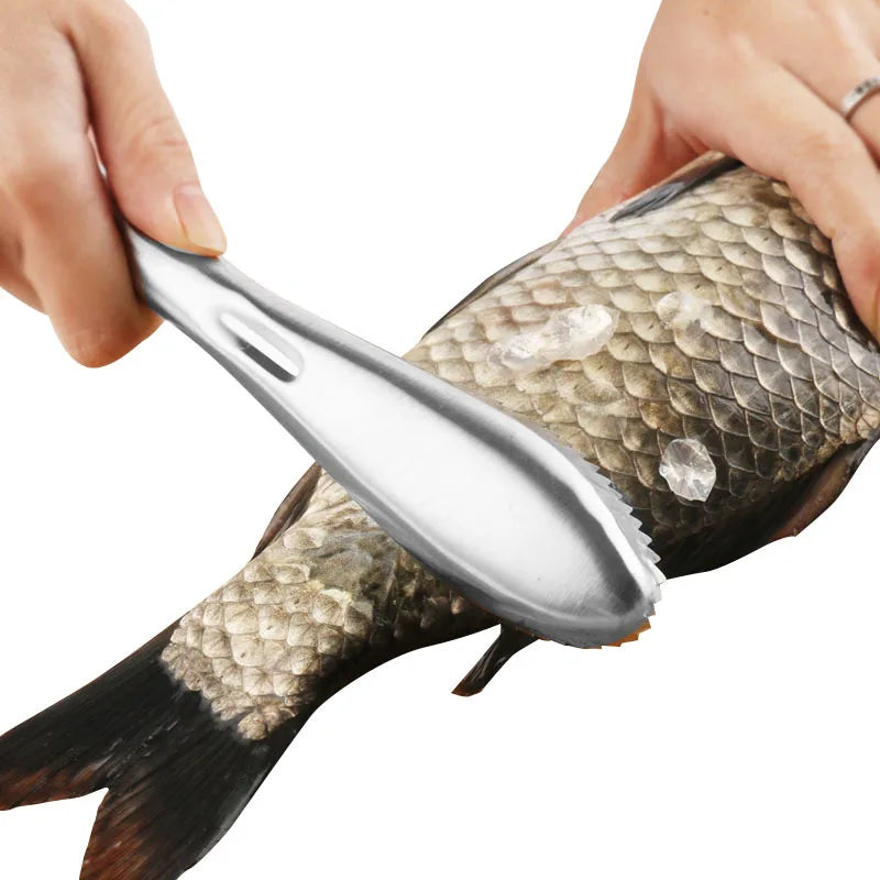 Stainless Steel Fish Skin Brush and Scaler - Seafood Cleaning Tool for Scraping Scales and Peeling