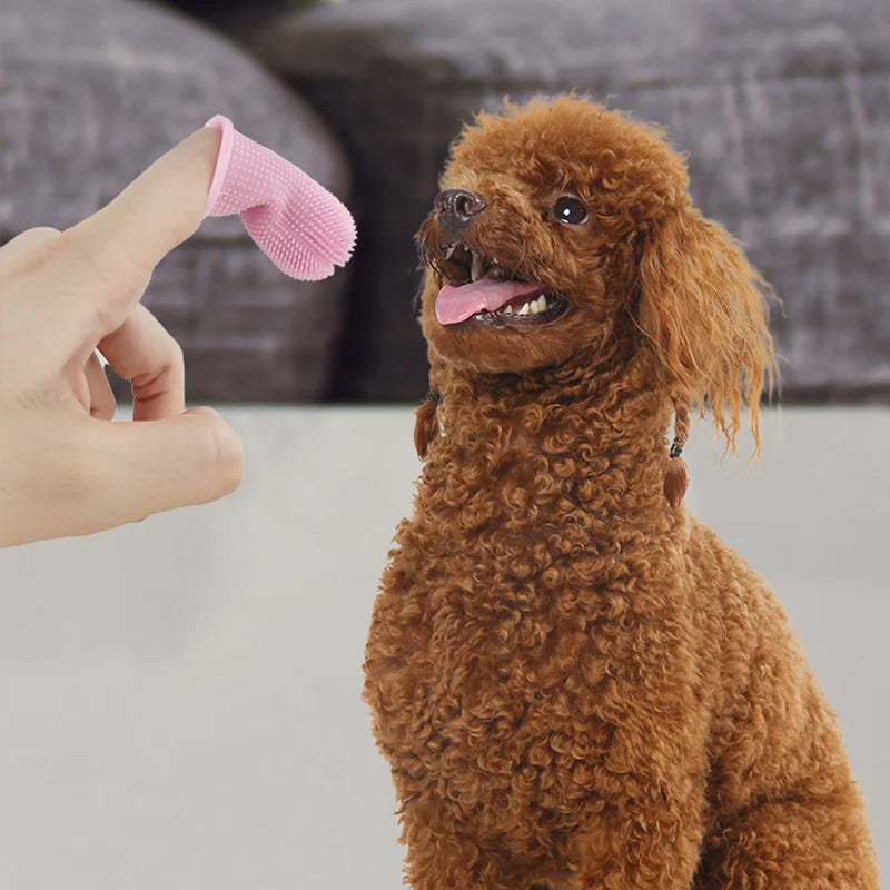 Finger Brush for Pet Teeth Cleaning