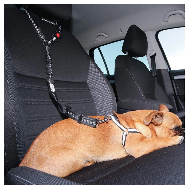 Two-in-One Adjustable Pet Car Safety Belt - Dog and Cat Collar