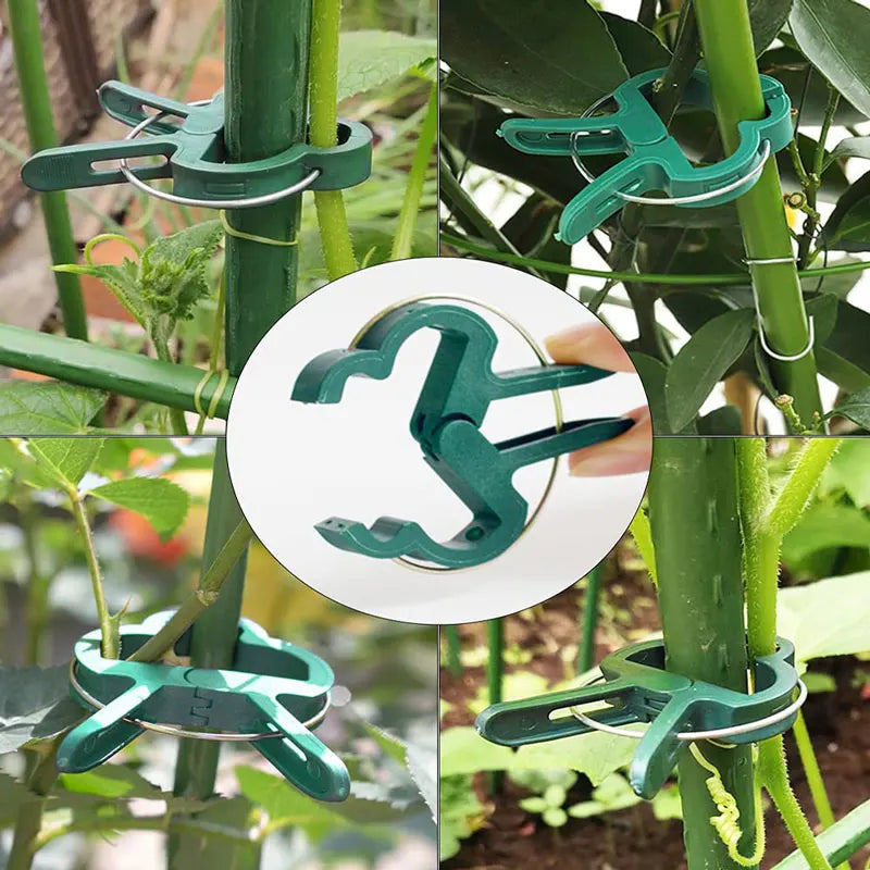 Reusable Plant Fixed Clips - Garden Greenhouse Brackets for Supporting Vines, Flowers, Seedlings, and Tomatoes