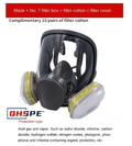 Anti-Fog Gas Mask 6800