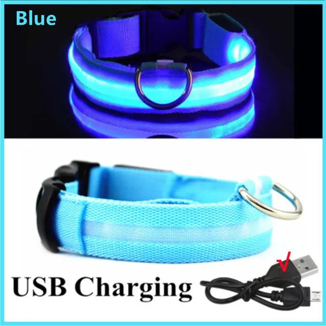 LED Glowing Dog Collar Adjustable Flashing Rechargea Luminous Collar Night Anti-Lost Dog Light HarnessFor Small Dog Pet Products - SANTARELLA