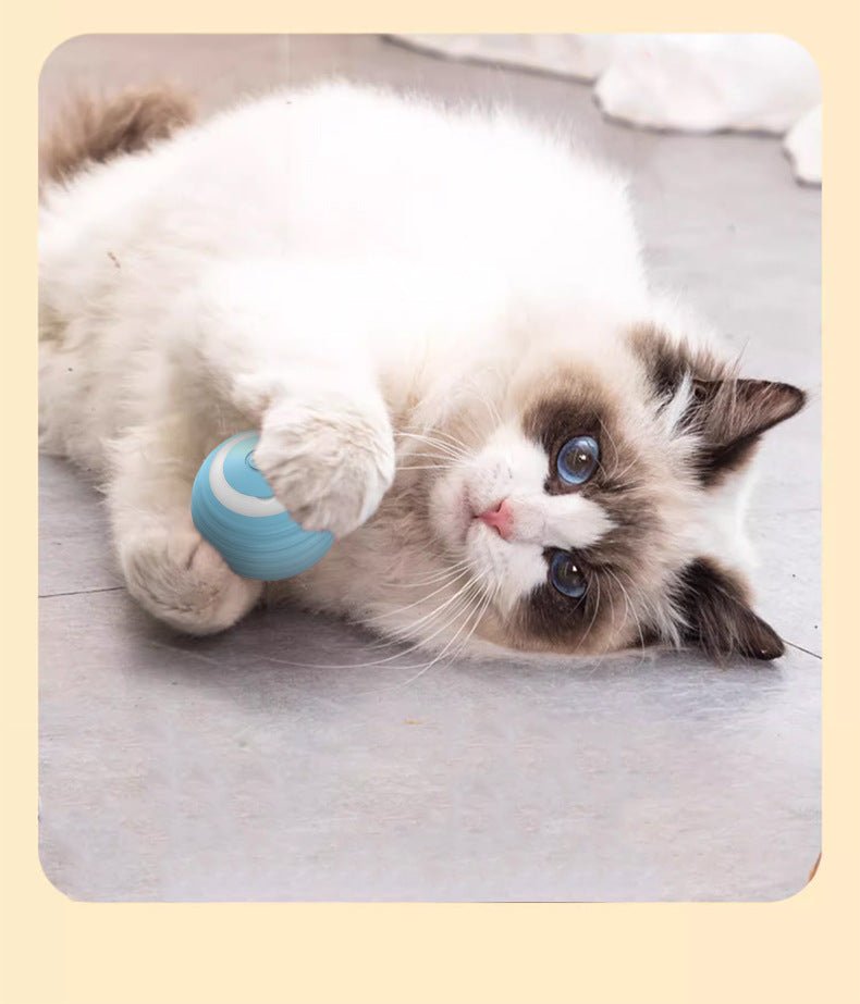 Pet Toy Automatic Cat Teasing Ball - SANTARELLA